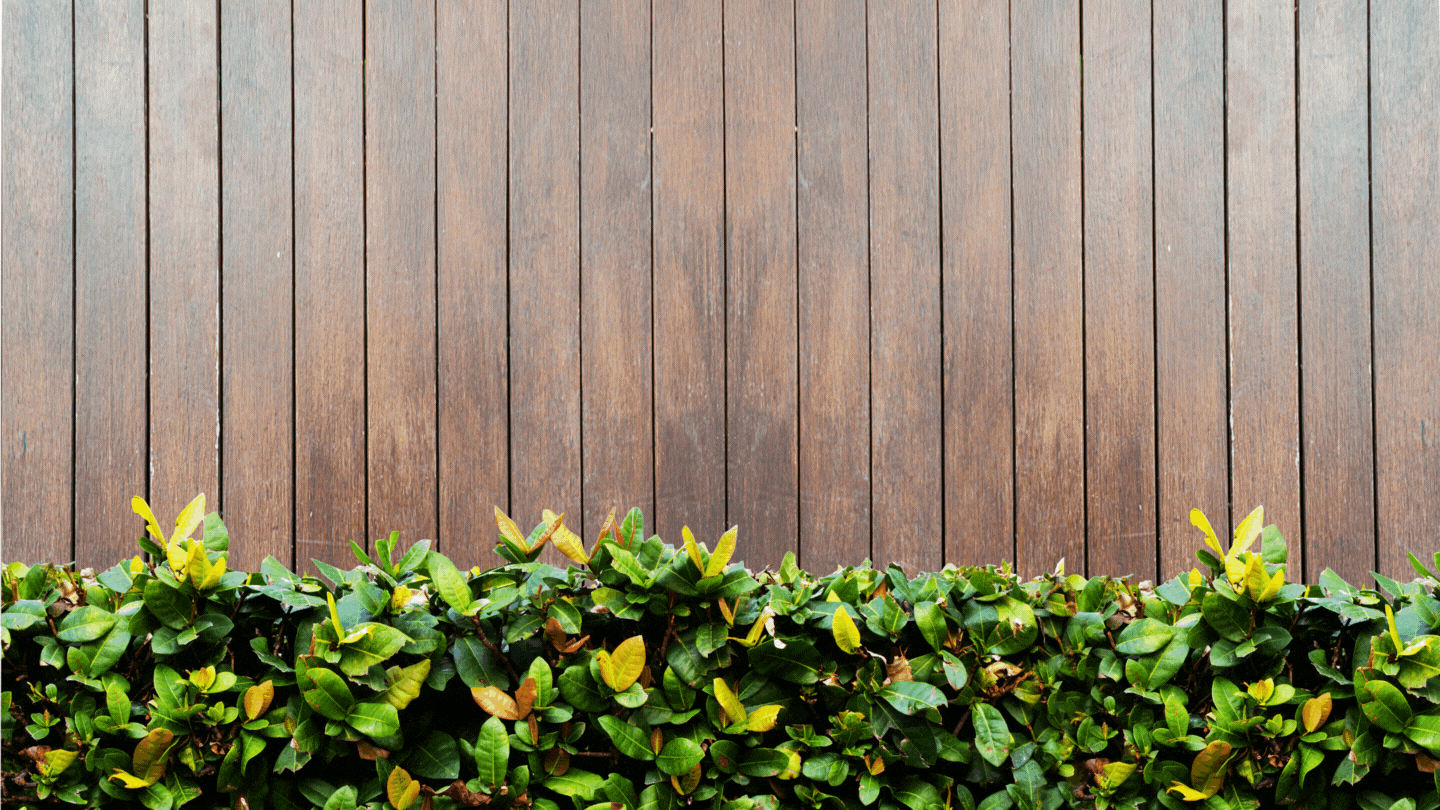 Fence Companies in Maumee